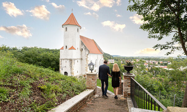 Schloss Viehofen